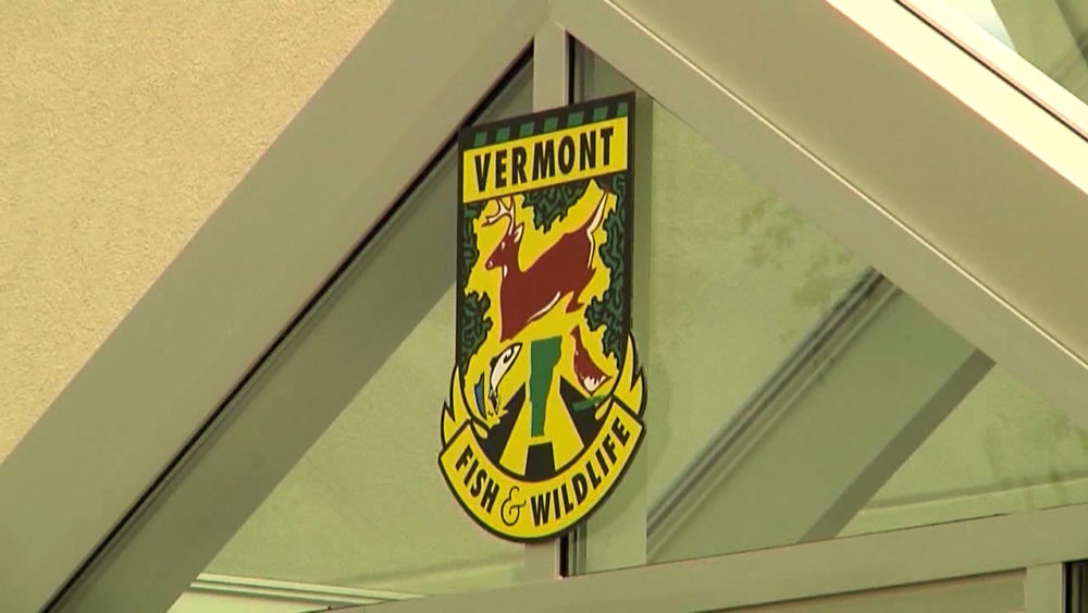 vt-fish-vo-00_00_00_00-still001