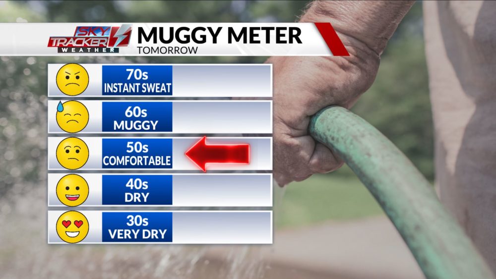 muggy-3