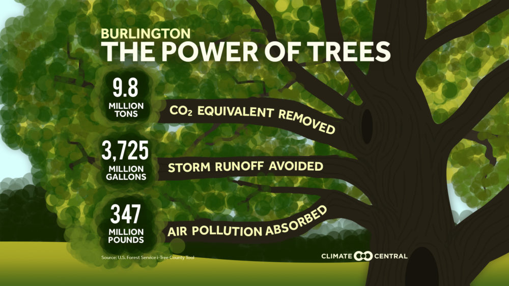 2018trees_burlington_en_title_lg-1