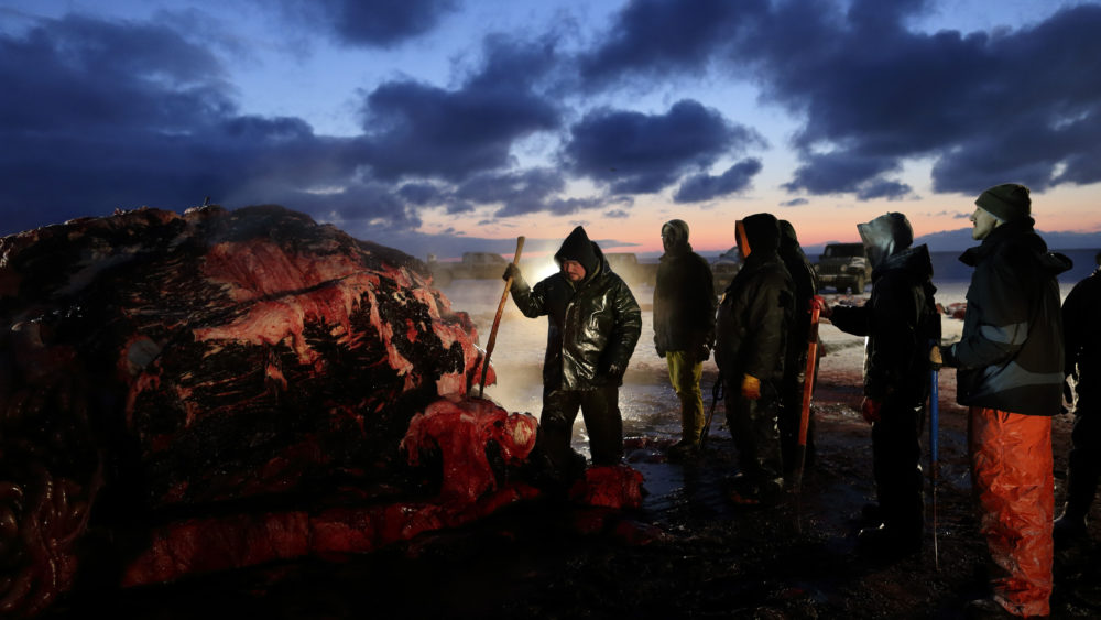 b94819f98e8b4287905467f9f89d1886