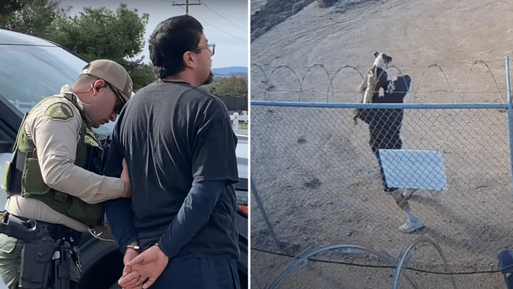 microsoftteams-image-26