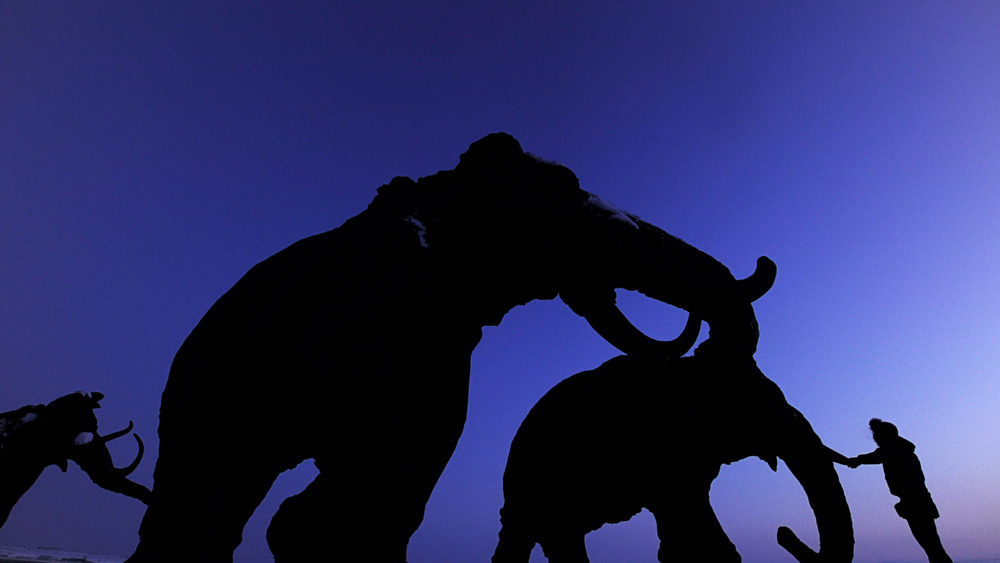 gettyimages-151848016