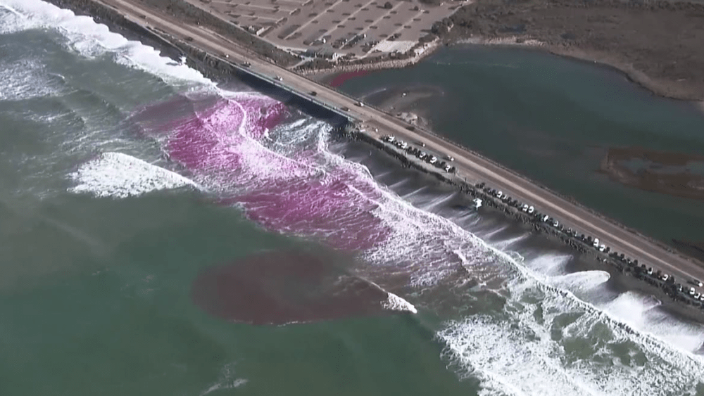 pink-in-pacific-ocean840001