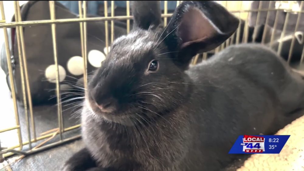 ffa39ceaab256b61dad8a8b453073746155863