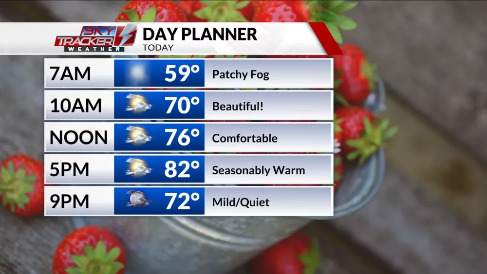 day-planner-19585480