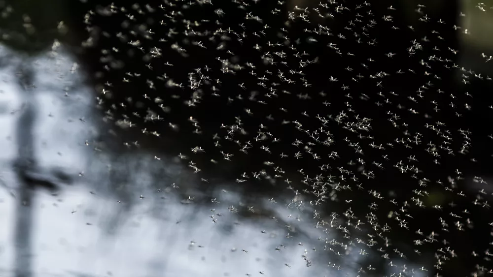 gettyimages-1213675150482121