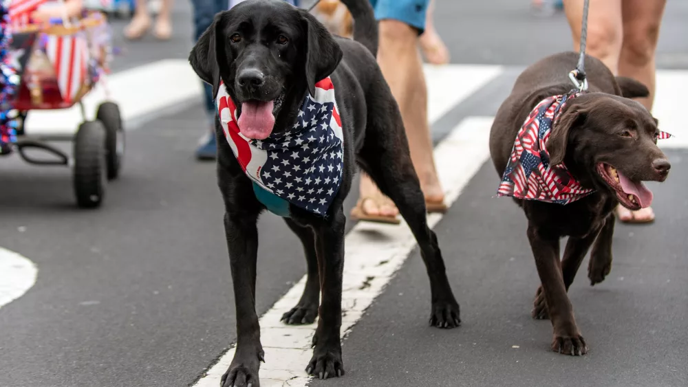 gettyimages-1160288881307473