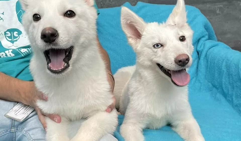 386343335_122104923164064868_8058249357034802346_n395299