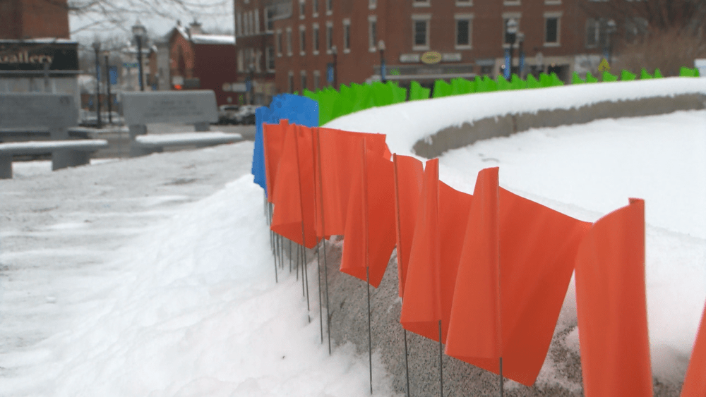 flags651203