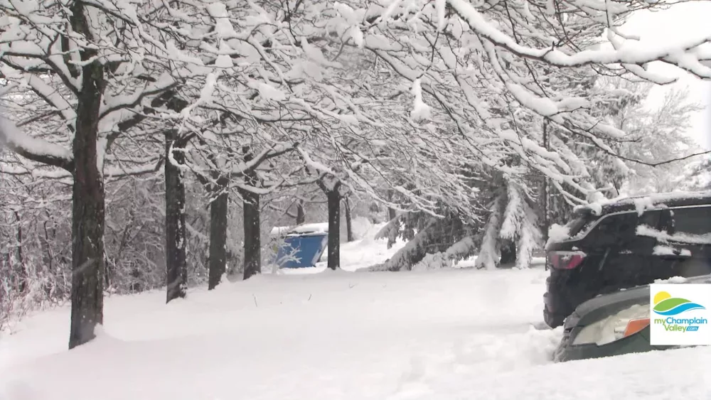 snow_spring688461