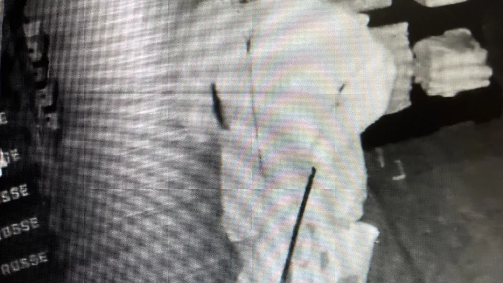 thumbnail_suspect-2329184