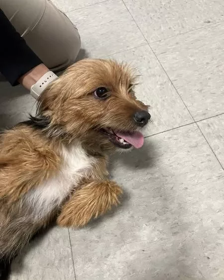 499989170_1023648939944567_5293708784966470801_n23883