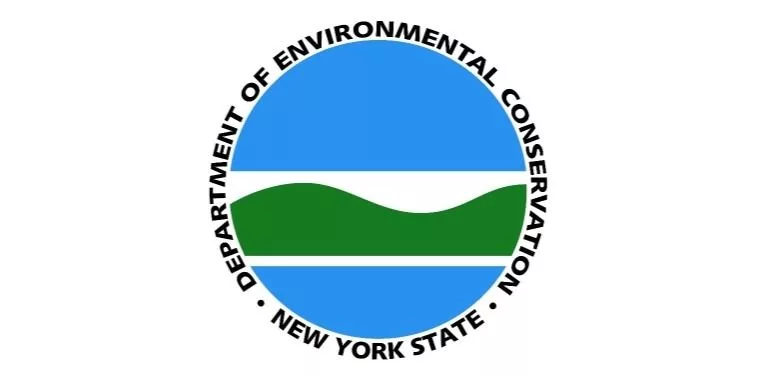 ny-dec519744