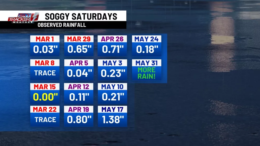 every-saturday345007