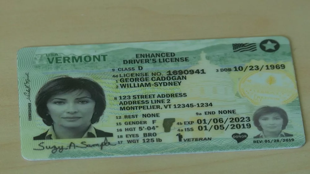 drivers-license-236754