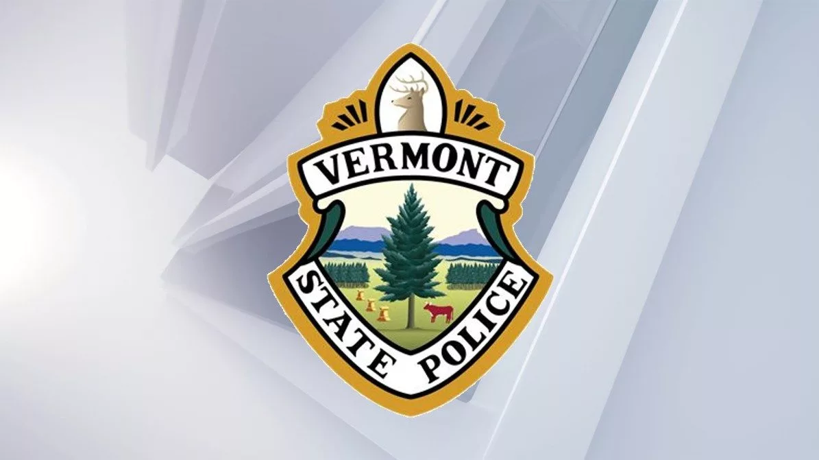 vsp-logo133988