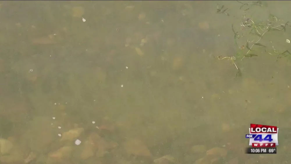 cyanobacteria-in-water-burlington-vt321130