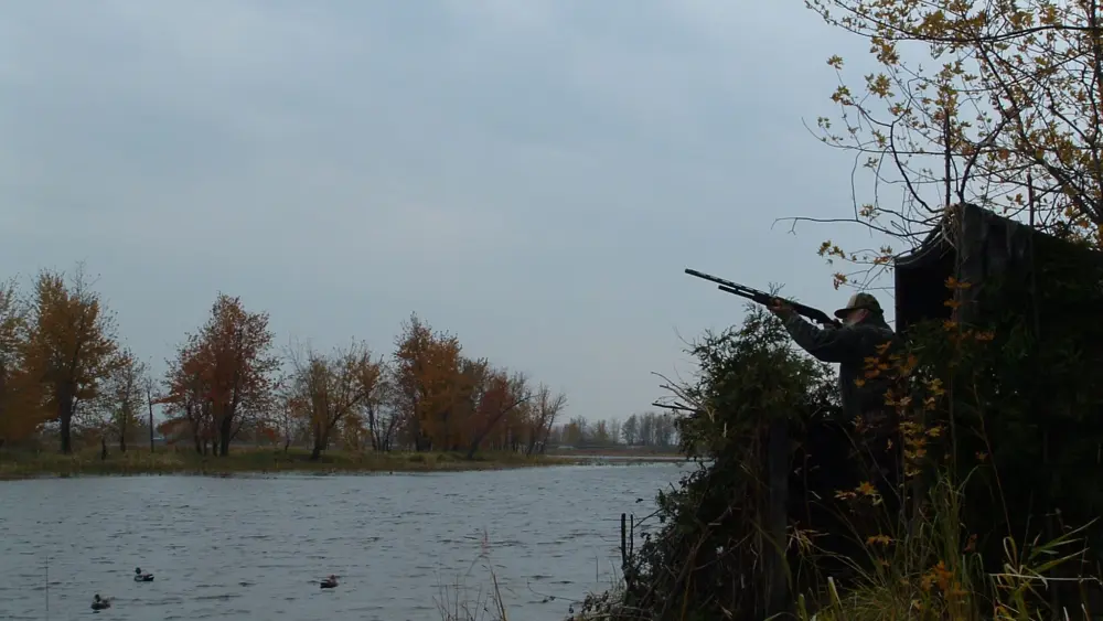 duck-blind-by-wayne-laroche89713