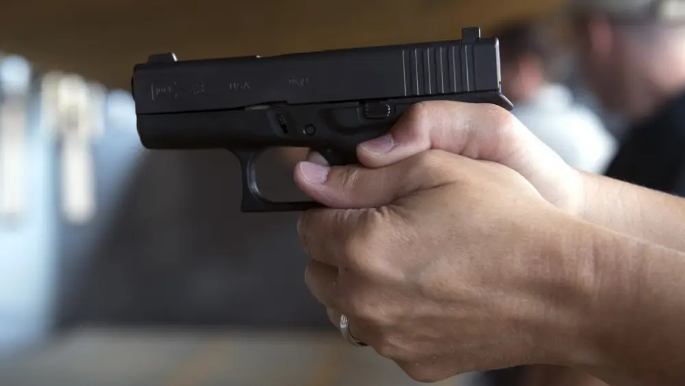 handgun333864