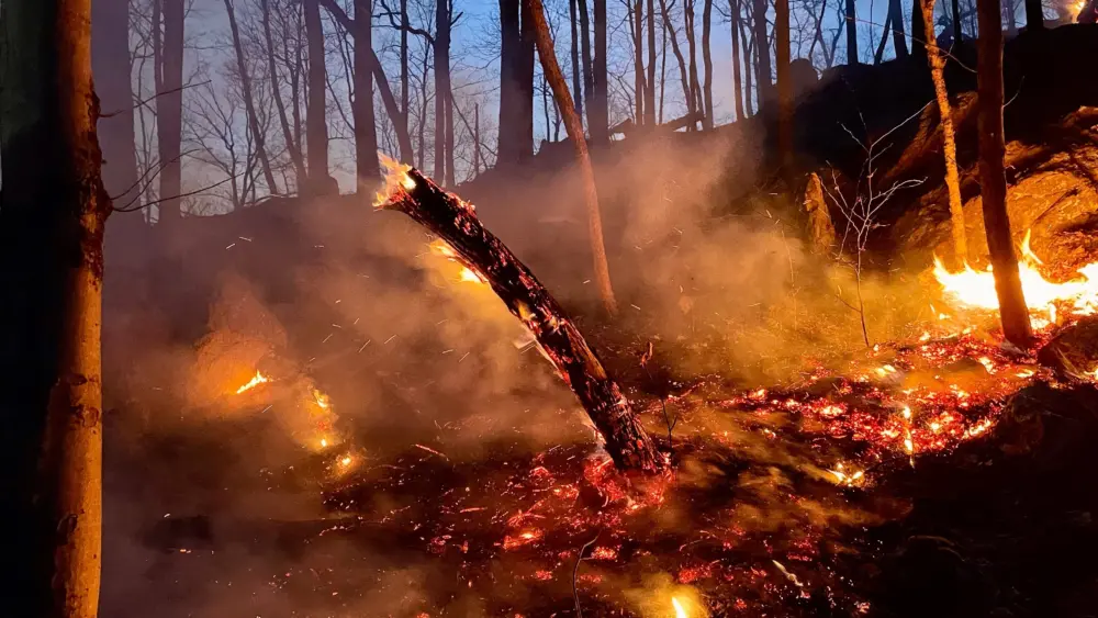 patterson-fire-1249083