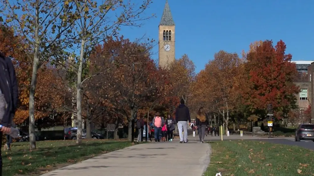 cornell-2-1490445