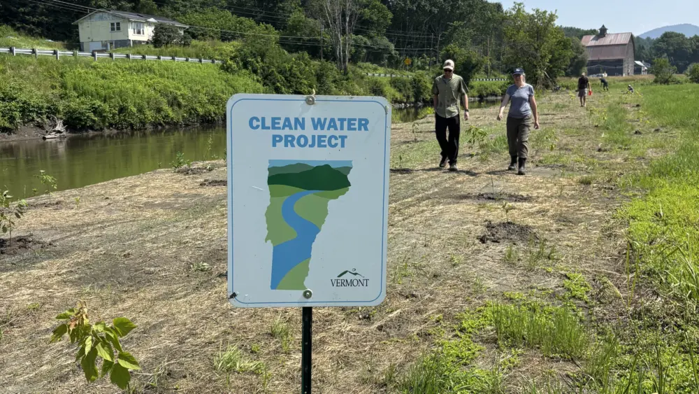 tree-planting-in-the-area-after-berm-removal559001