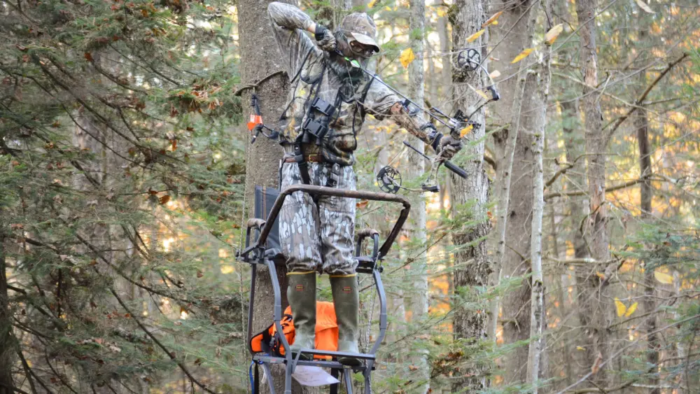 archer-in-treestand-181865