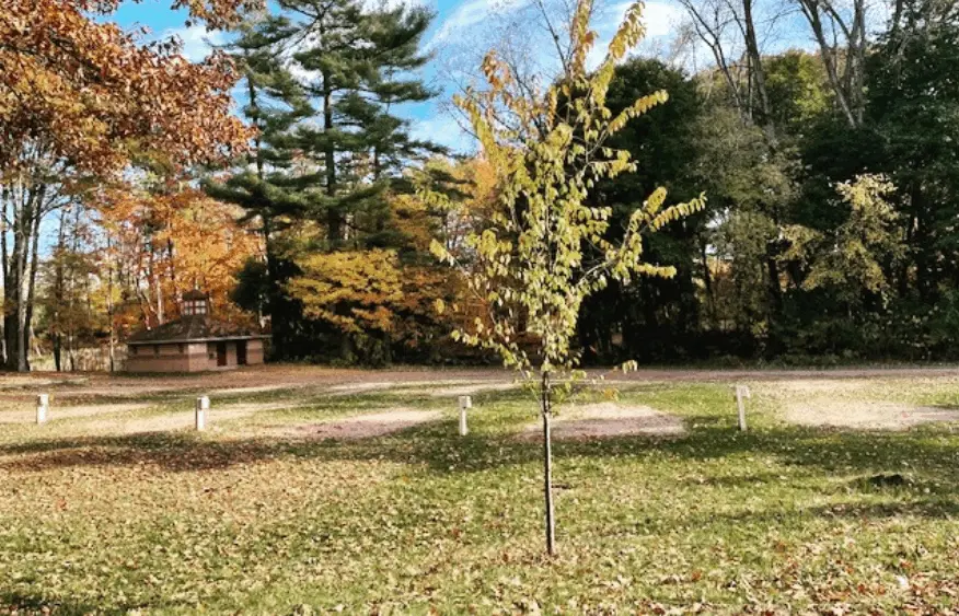 screenshot-2025-10-31-200954310196