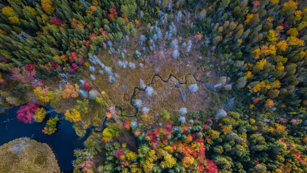 adobestock_2361739387006