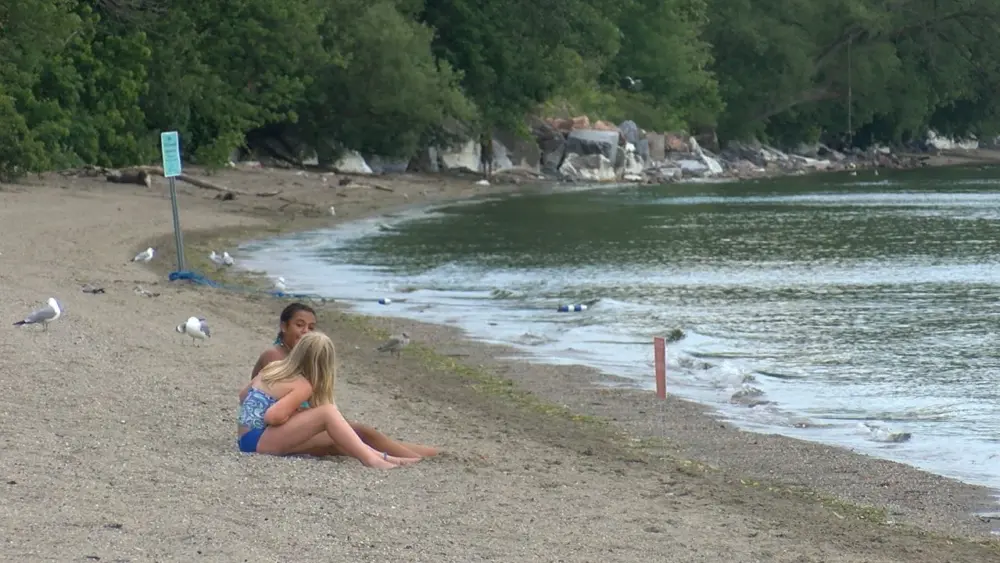 burlington-vt-north-beach-algae809392