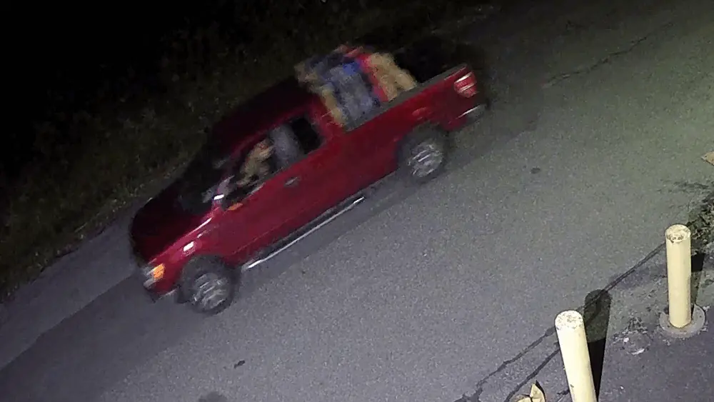 exterior_rear_03_2025_10_11_7pm_53_4929259