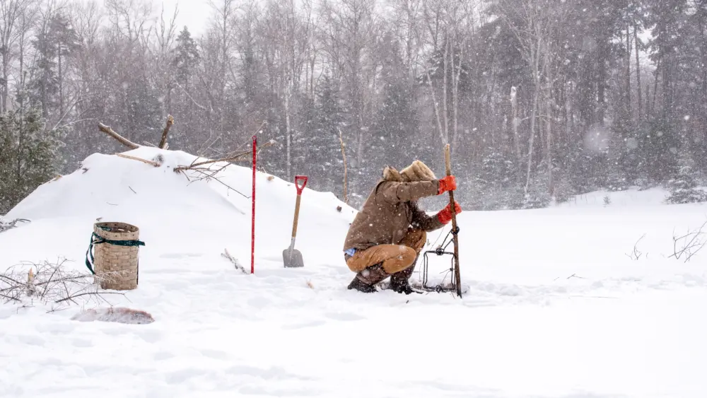 beaver-trapping-2023-vfwd51596
