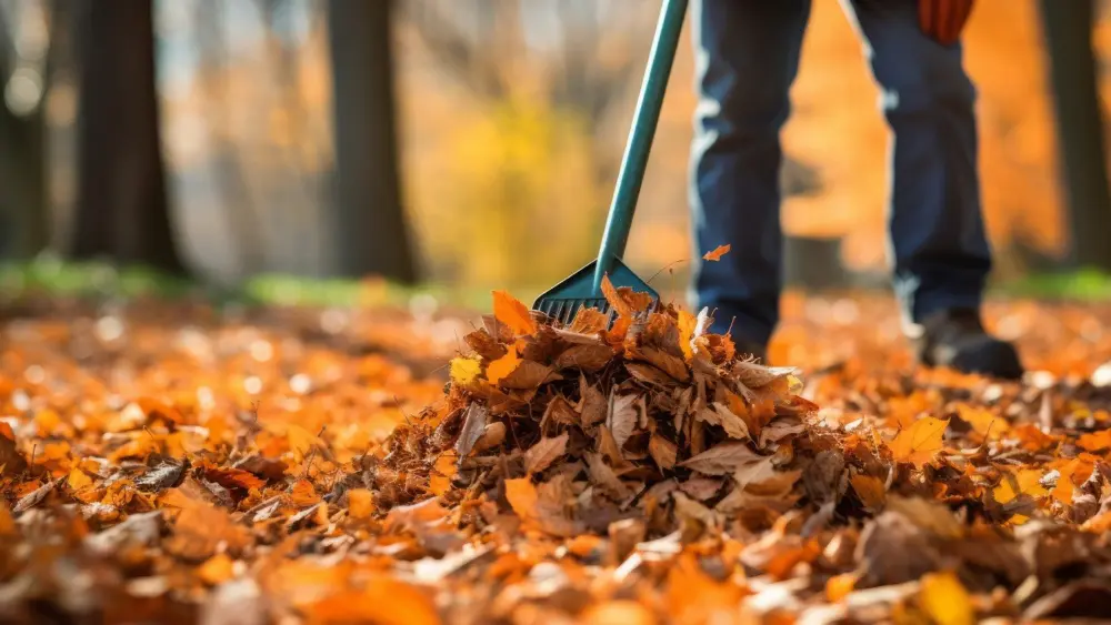 feature-leave-the-leaves-in-fall154065