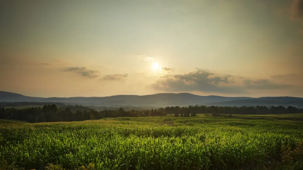 gettyimages-61519579814171