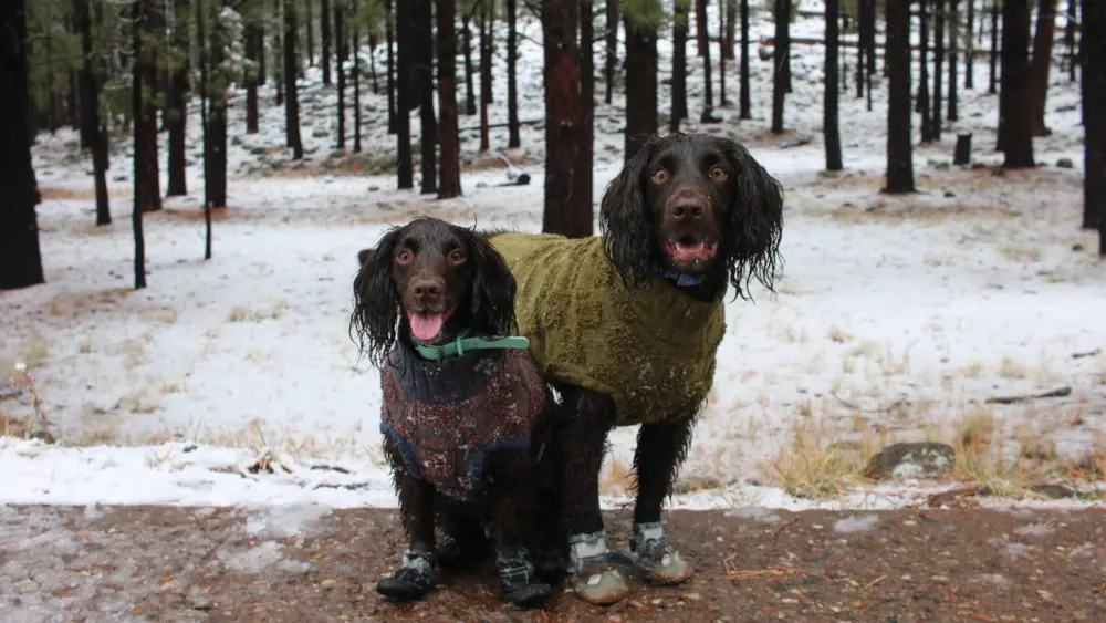 ap25335753608647137106