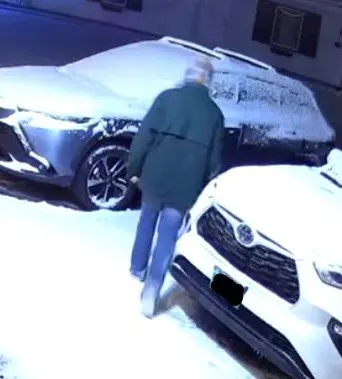 25a4010981-screen-shot-447882