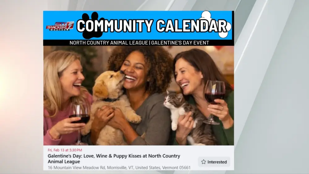 pet-calendar-3411320