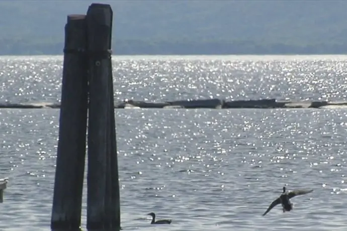 story_1146787_ver1875578