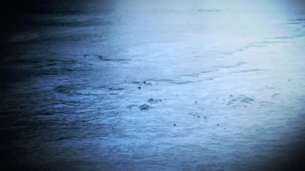 1280x960_51216b00-eeqxh_1454705864884_6906286_ver1871120