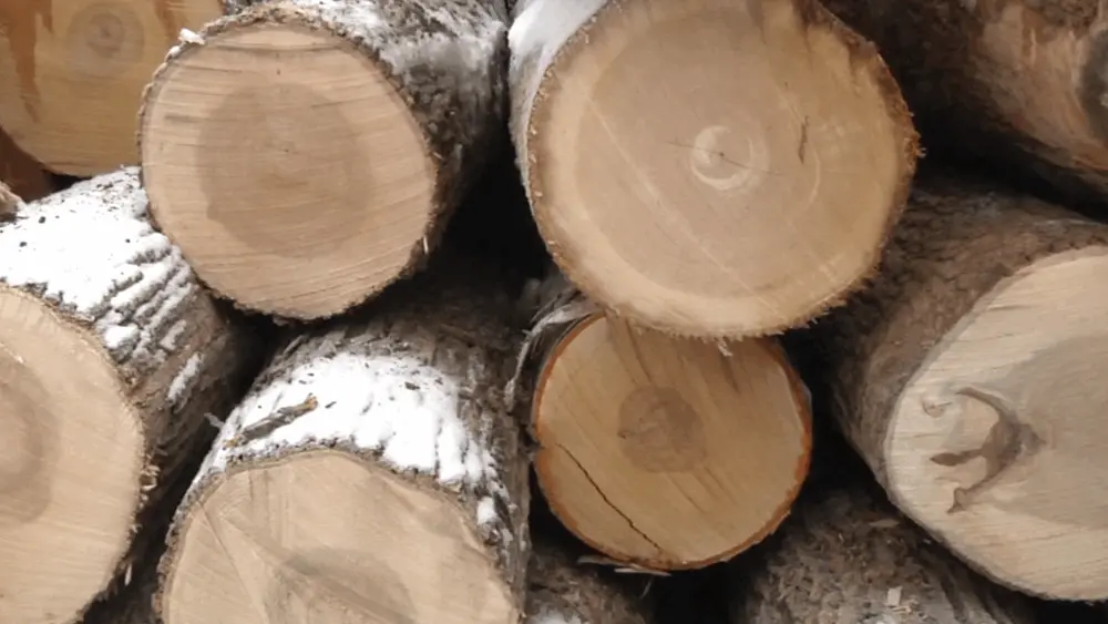 screenshot-2026-01-16-170445132218