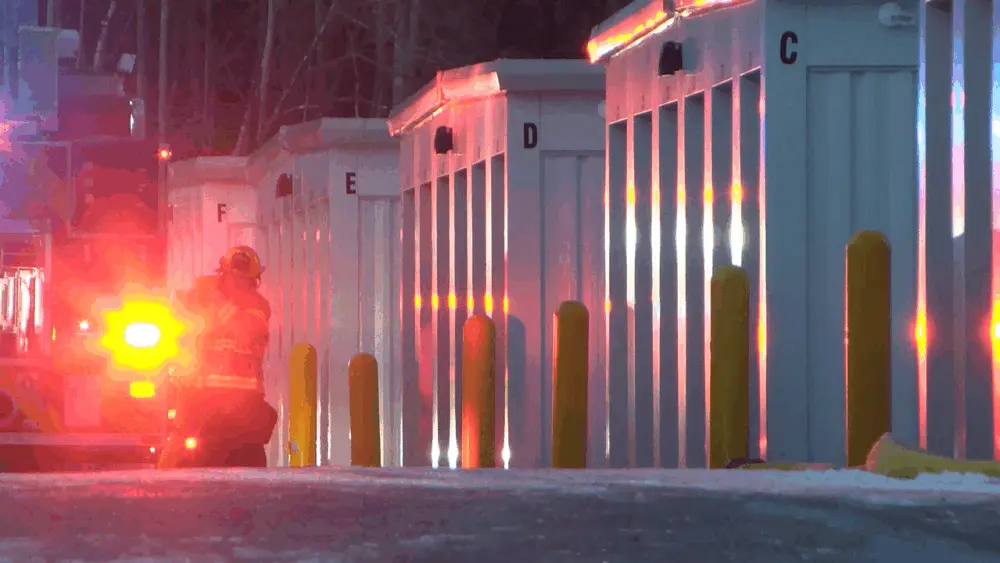 vlcsnap-2026-01-16-17h53m17s007981193