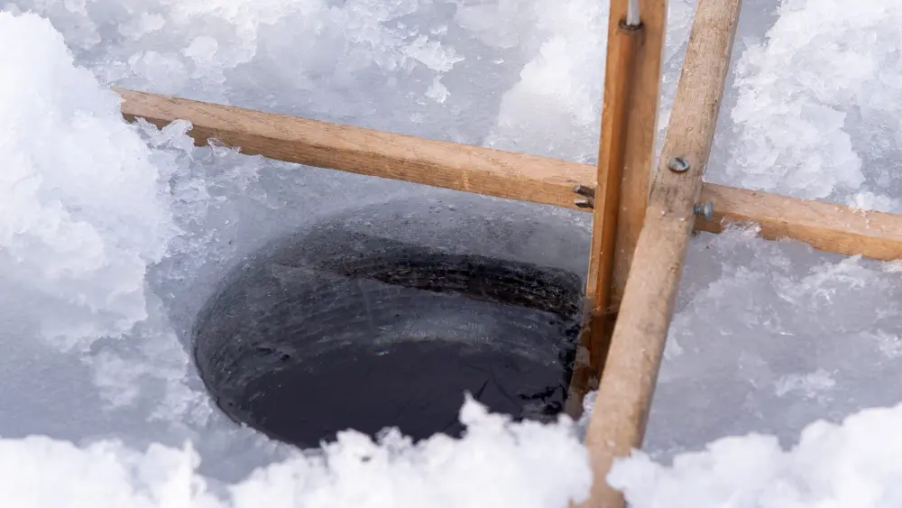 safe-ice-example-vfwd-2024302017