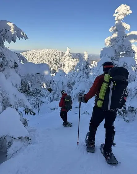 626534736_1355927233244523_5780066324107220988_n283616