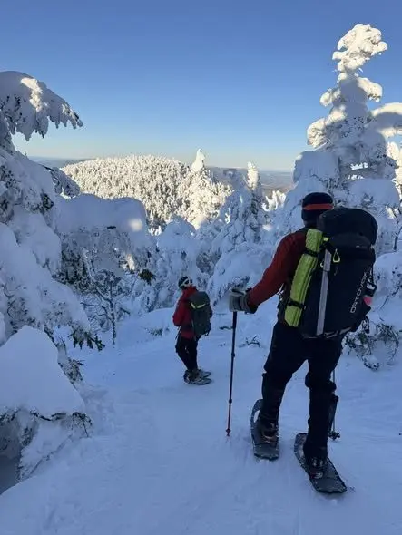 626534736_1355927233244523_5780066324107220988_n283616