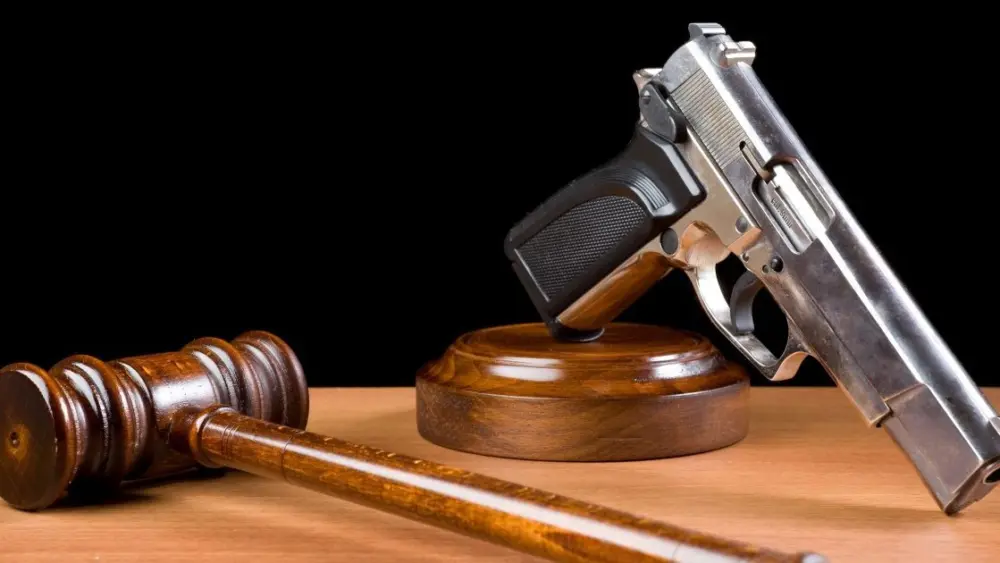 gun-laws-e1742486755215145563