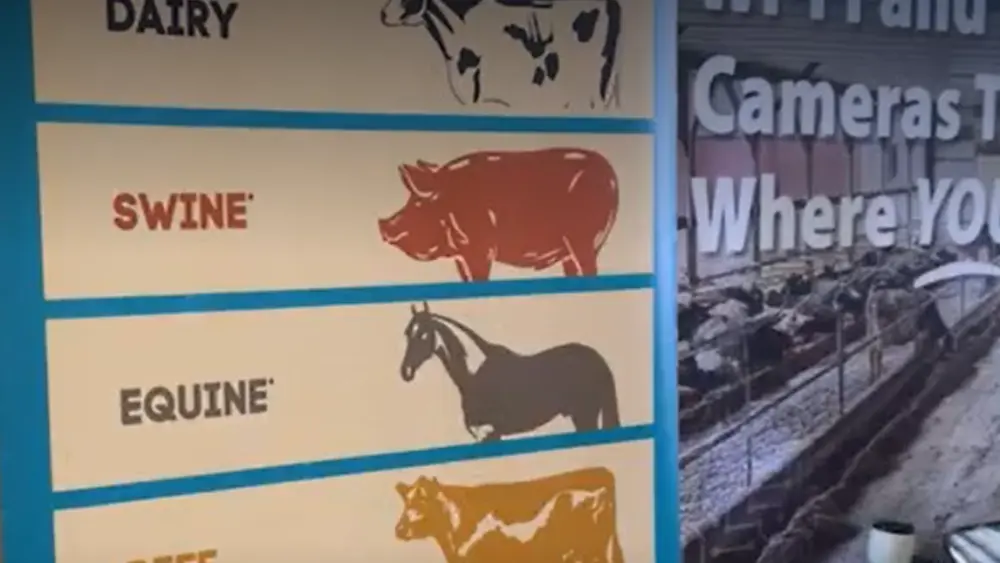 screenshot-2026-02-17-210608863724