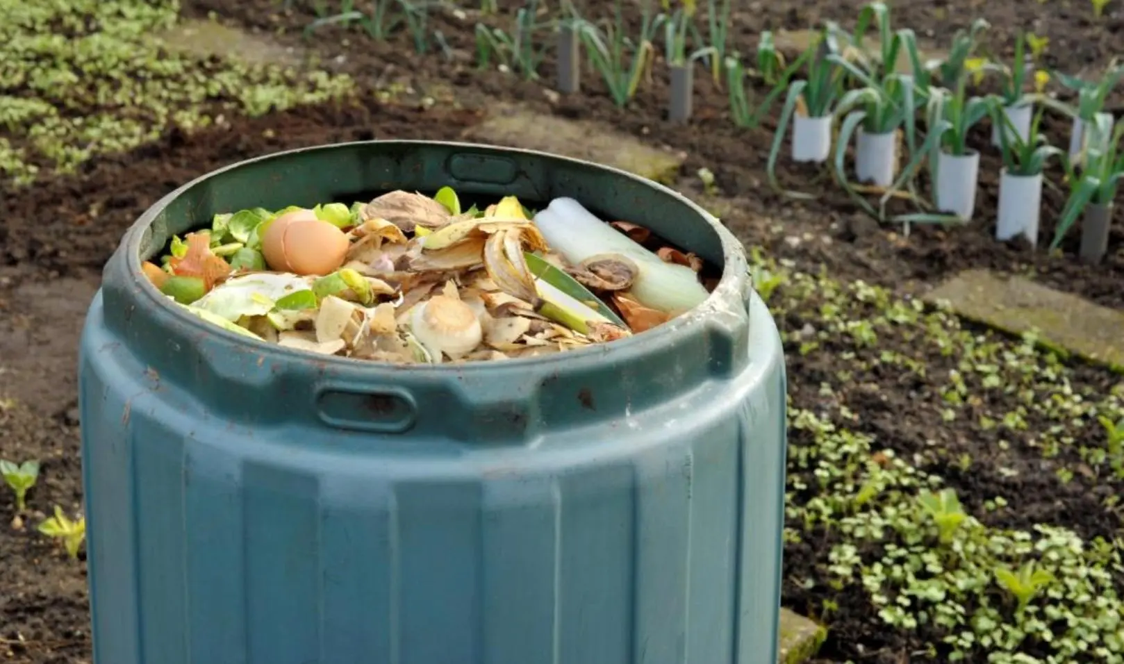 compost-warren-county628503