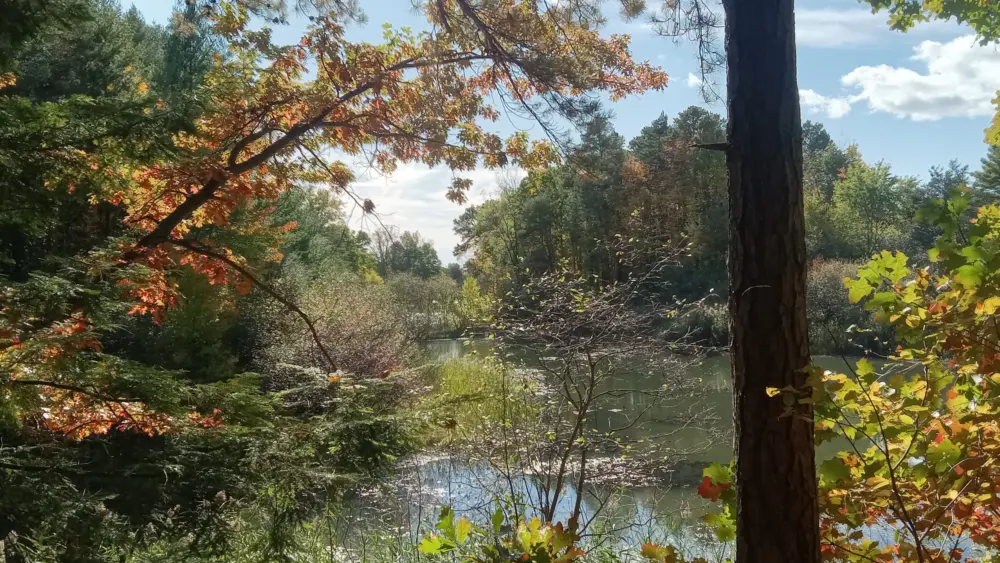 20251015_141219872769