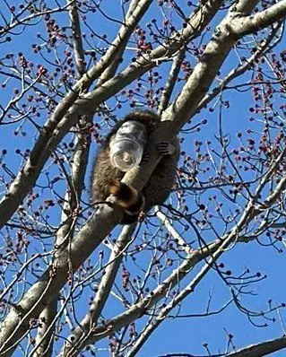 651694773_1583365740125310_7874164499846387339_n312603