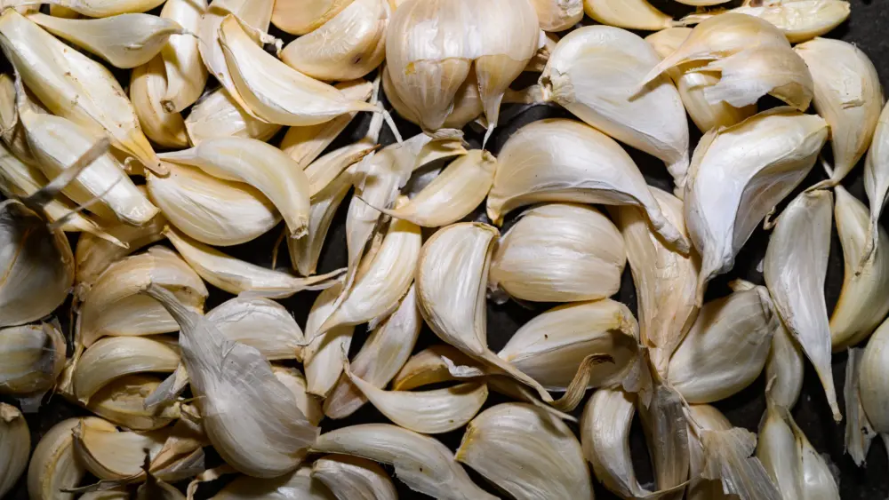 gettyimages-1623106959475122